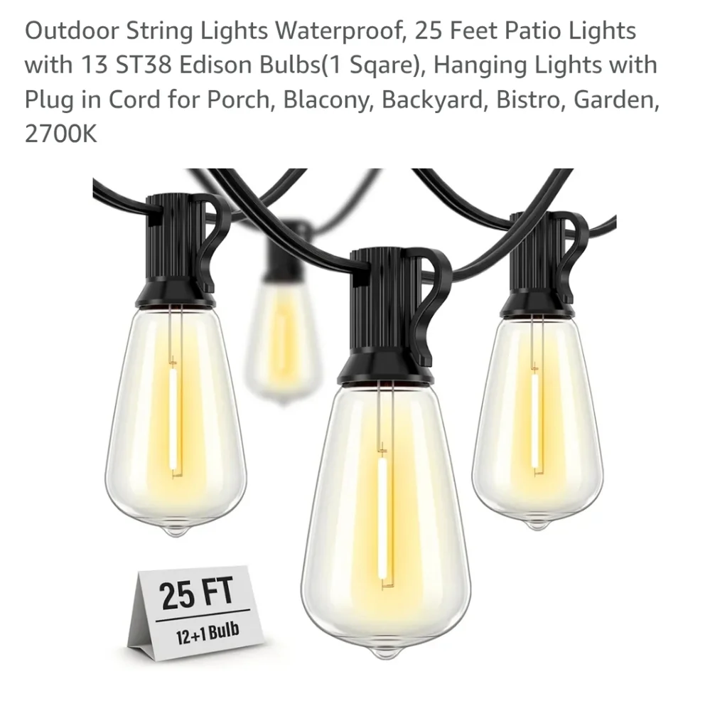 Outdoor String Lights with Black Cord 25ft